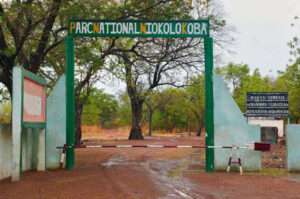 parc-du-niokolo-koba-senegal