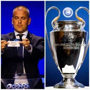 photo_2024-07-31_10-29-56