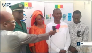 xMDE1.jpg.pagespeed.ic.y3HfEbMNFc