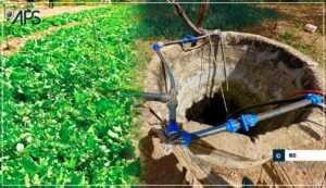 BassirouSallPresidentFederationRegionaleOrganisationsFiliereHorticoleDiourbelDeux-1