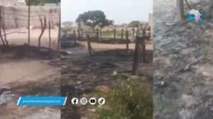 Screenshot_20240803_130215_Chrome