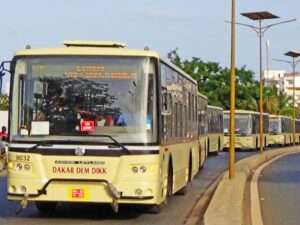 bus-dakardemdikk-cetud-2