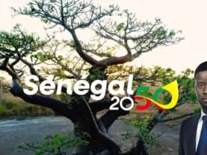 WhatsApp Image 2024-10-14 at 16.30.54