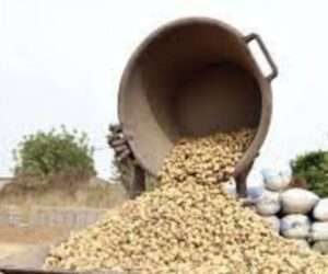 COMMERCIALISATION-ARACHIDE-REVU-1024x853