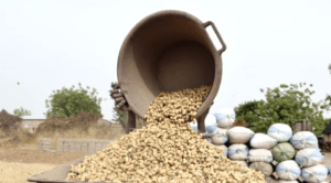 image_2024-11-06_214156972