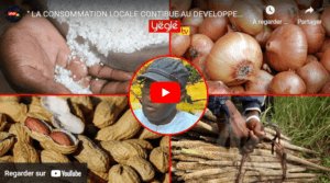 Opera Instantané_2024-12-11_120801_www.yeugle.net