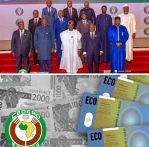 WhatsApp Image 2024-12-18 at 17.13.21