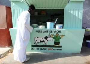 WhatsApp-Image-2025-01-11-at-11.07.09