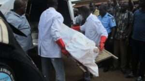 xr:d:DAE-owMr5bU:14954,j:7192665203192989420,t:24012512