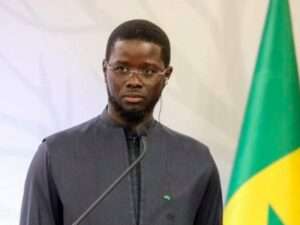 WhatsApp Image 2025-02-12 at 12.50.55