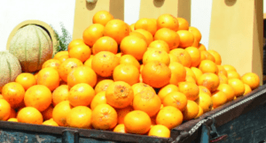 image_2025-02-27_121854046