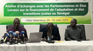 image_2025-03-04_141408320