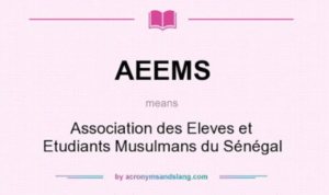 Capture d’écran 2025-05-14 145632