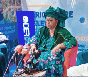 Capture d’écran 2025-05-20 142735