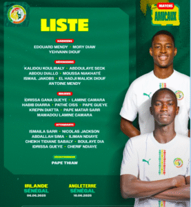 Capture d’écran 2025-05-27 134720