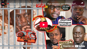 Capture d’écran 2025-05-28 130022