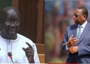 InCollage_20250509_080535814-350x250