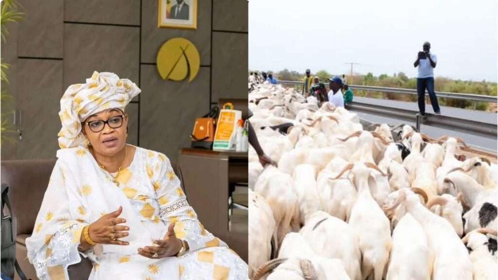 InCollage_20250524_182902128-scaled