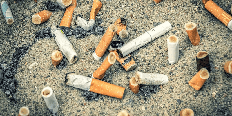 The-environmental-argument-for-banning-menthol-cigarettes-1