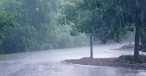 pluie