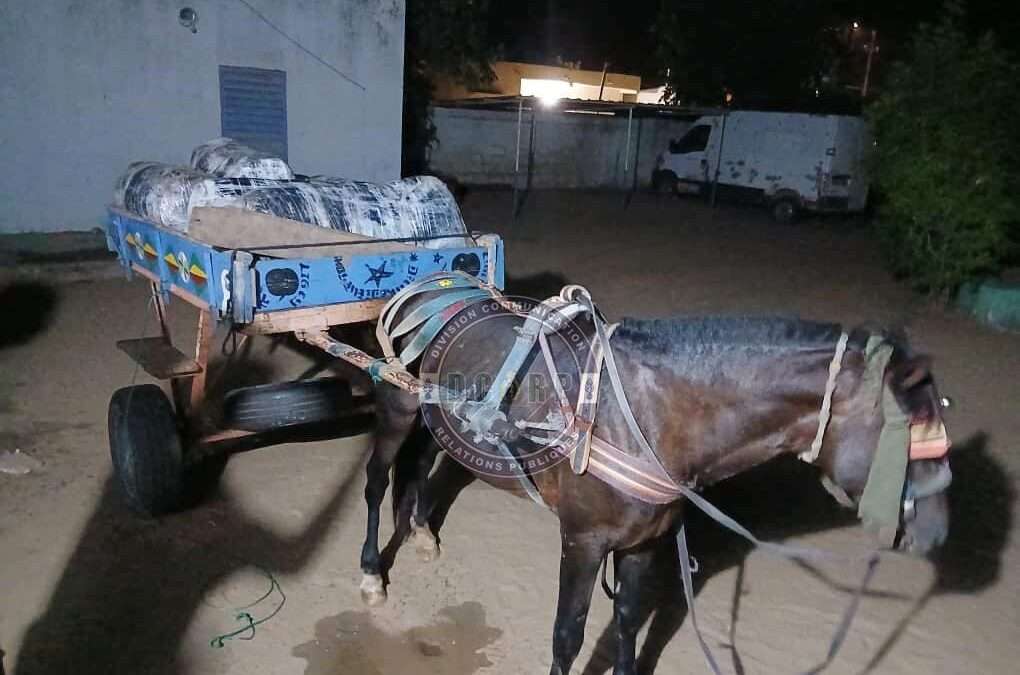 519607108_122183309240050392_2537791761539418026_n-1020x675