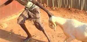 6d68000233310ecf3f425198a9a83f4809f07b02