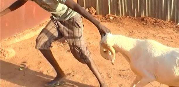 6d68000233310ecf3f425198a9a83f4809f07b02