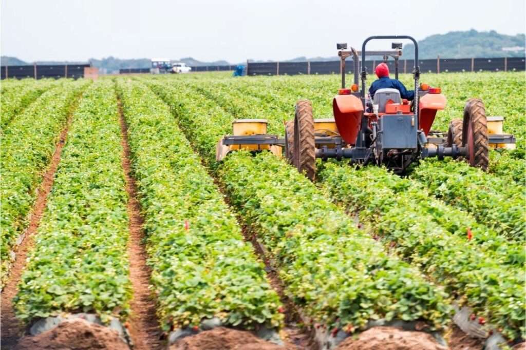 BRVMC0_4492735e-ff1b-4cfe-ae33-e548d7e22041_x