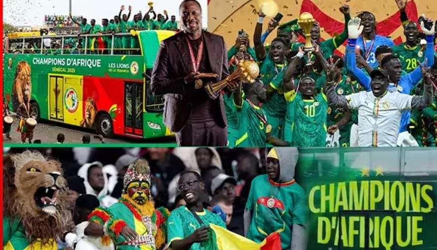 IMG-20260120-WA0230(2)